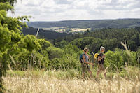 Wandern Thalmaessing - Auer BergII